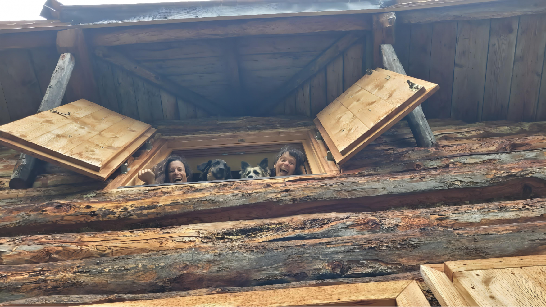 lela-gine.24.68340fd149964